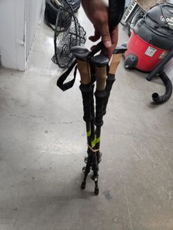 Walking Sticks