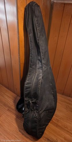 Double bass/Tololoche