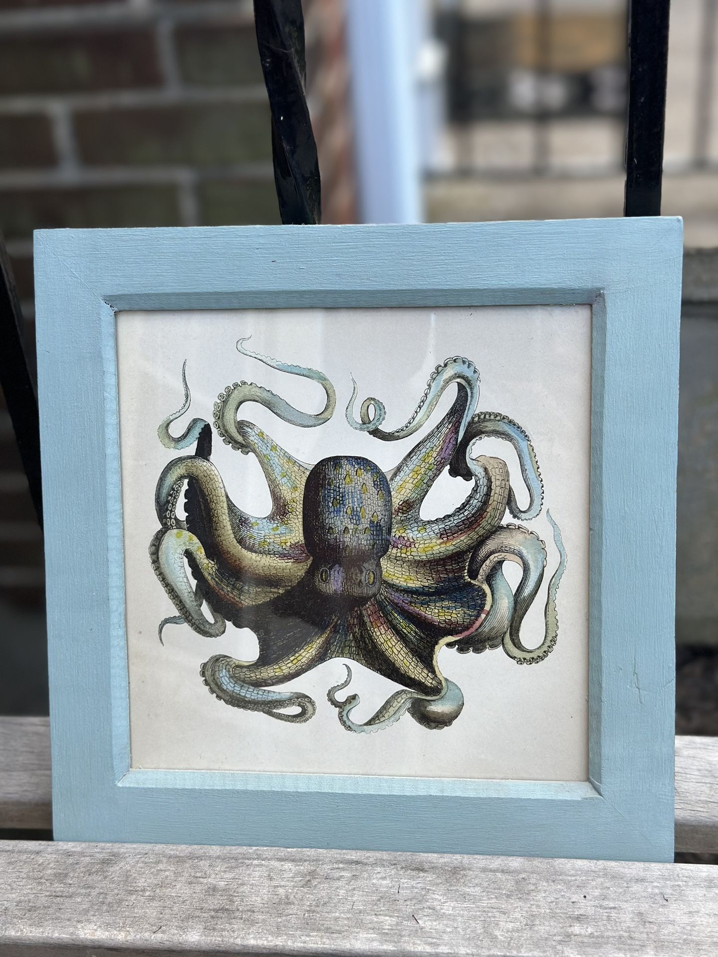 Framed Octopus Print 10”