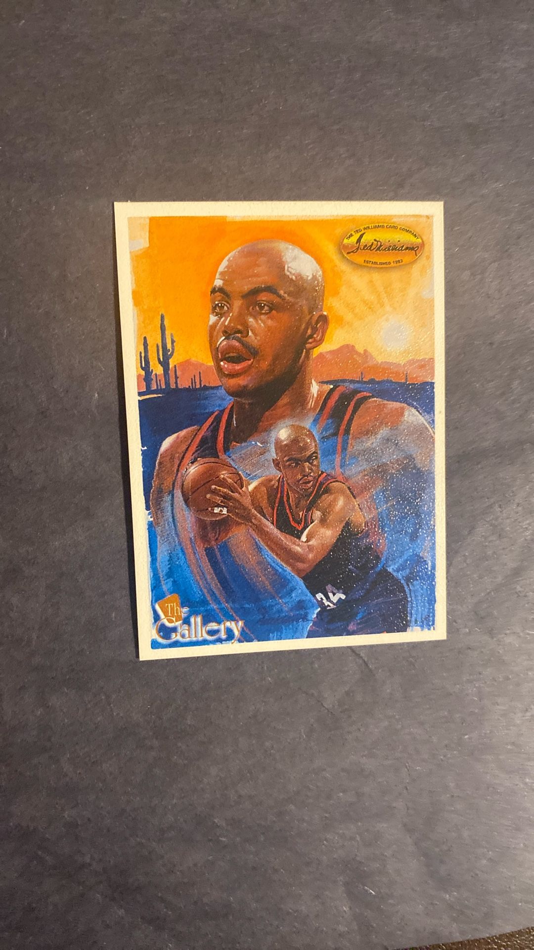 Charles Barkley 1994 Ted Williams Company #G1