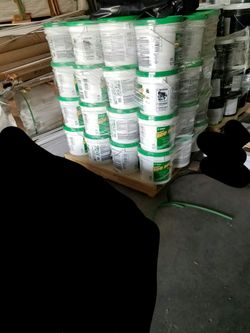 Eco 350 glue