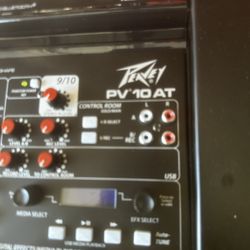 Peavey PV 10 At 