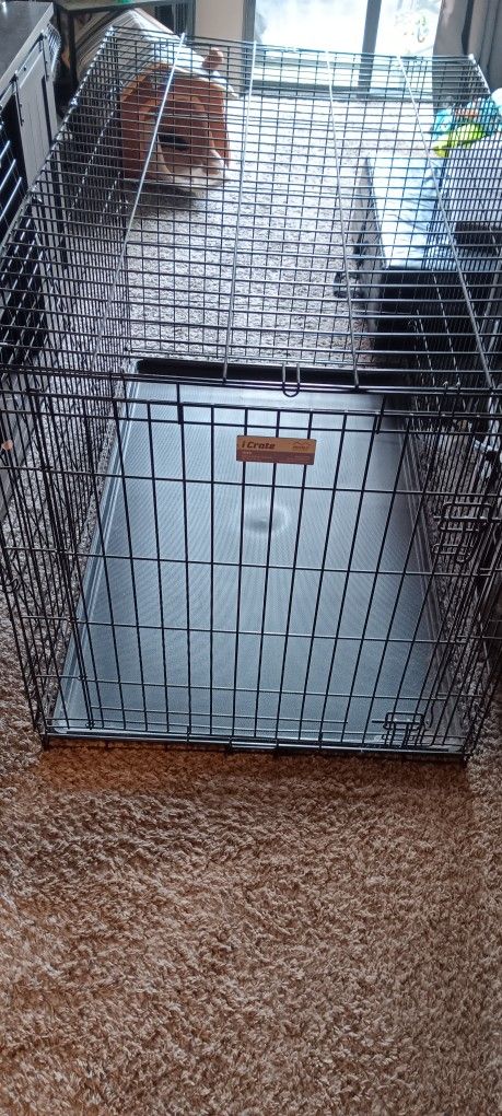 Large Collapsible Dog Crate