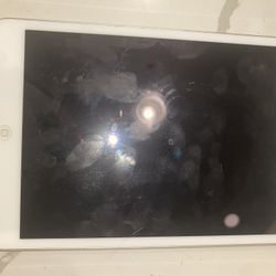 iPad Mini / For Parts 