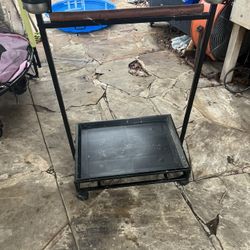 Bird Cages And Accessories All For One Price