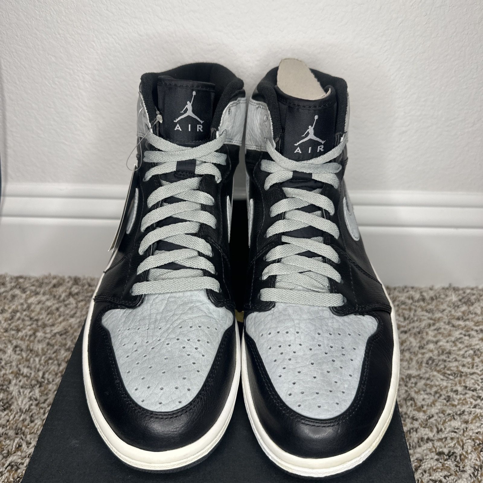 Air Jordan 1 Shadow 2009