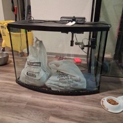 Fish Tank