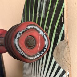 Sector Nine Long Board Shark Wheels Need Gone