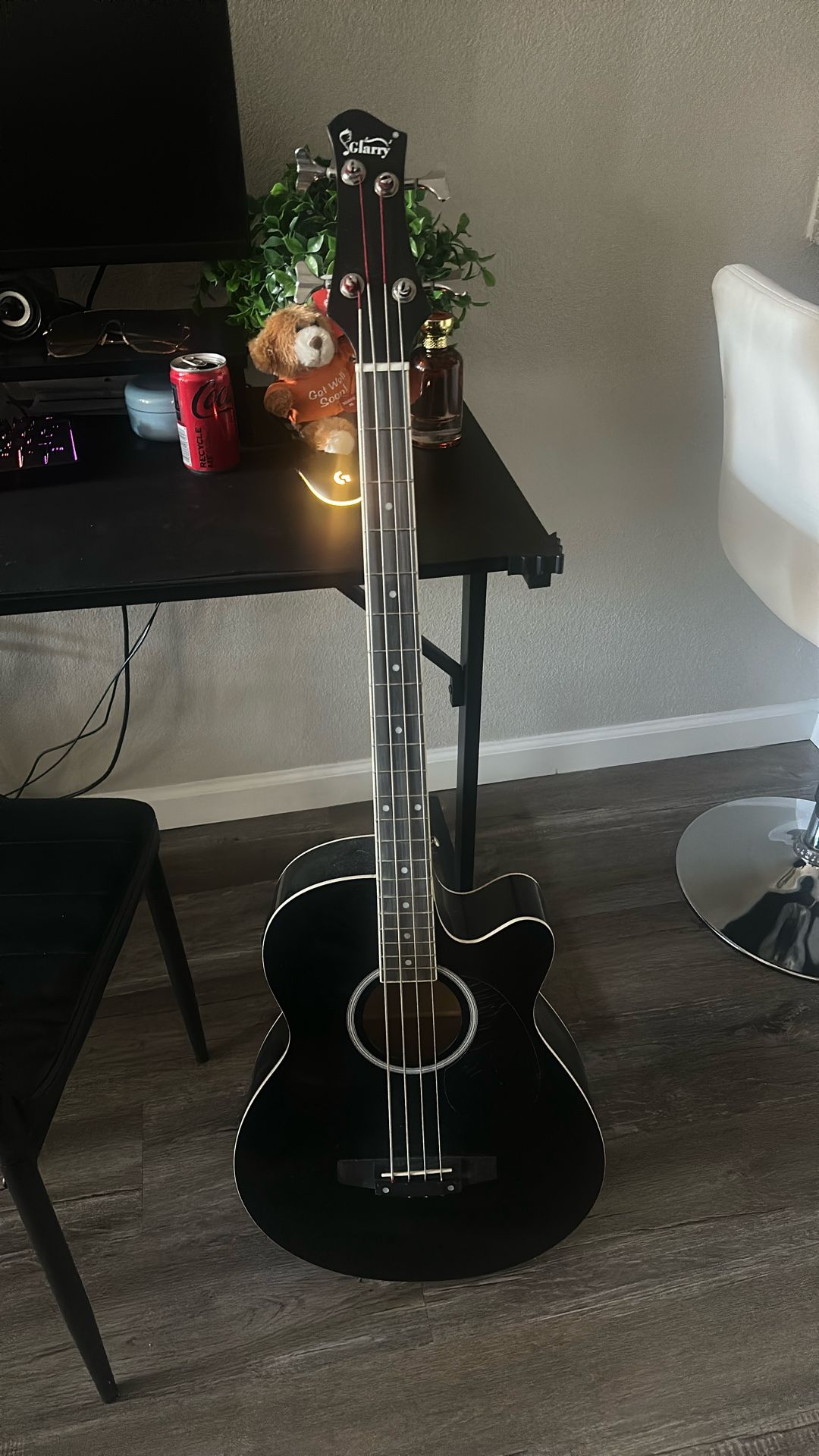 Acoustic Bass Guitar