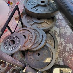 Marcy Olympic Weight Bench Plus Other Weights 