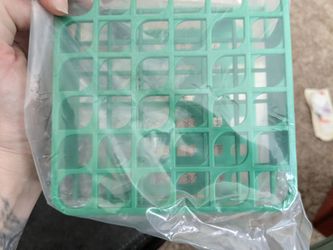 Specimen tube holders