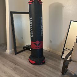 Punching Bag