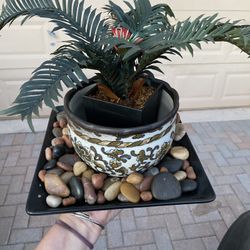 Beautiful Artificial Plant with Ceramic Plantar
