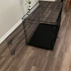 dog crate