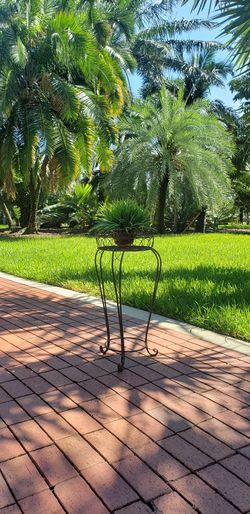 Metal Decorative Plant Stand