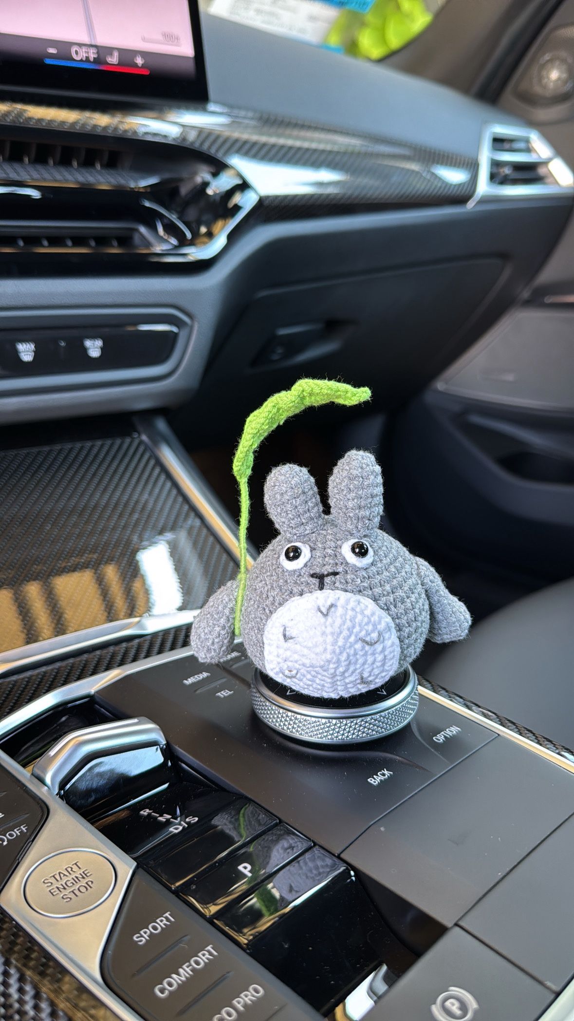 Adorable Toto Car Decorate
