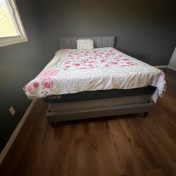 Queen Bed
