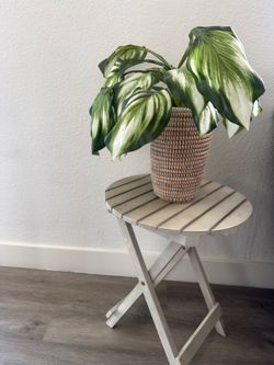 Round side table + artificial plants