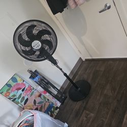 Fan Comfort Zone