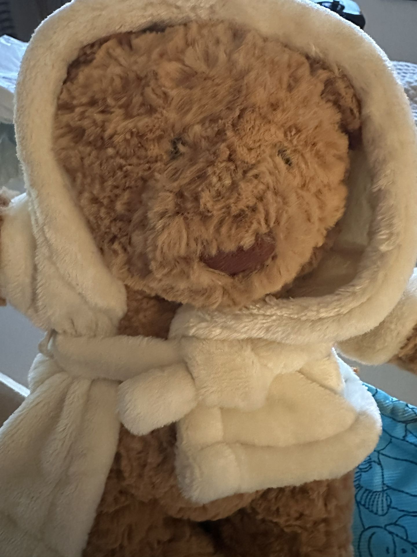 Bartholomew Bear Bathrobe Outfit