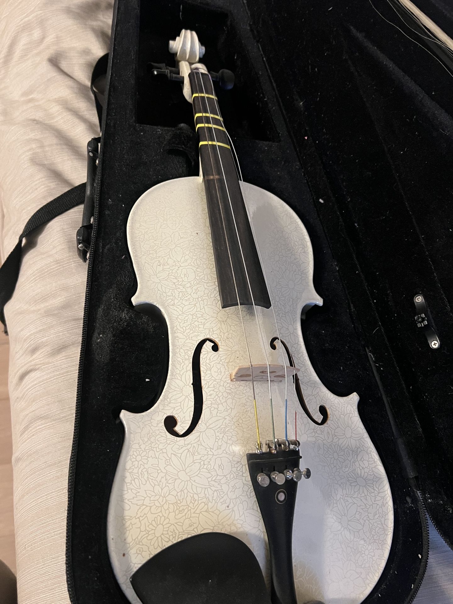 Violin