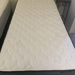 Two Twin Beds With Frame And Box Springs 