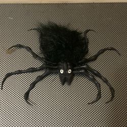 Spider Decoration 