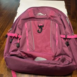 High Sierra Airhead Mesh Backpack Purple/pink Bag Suspension strap system