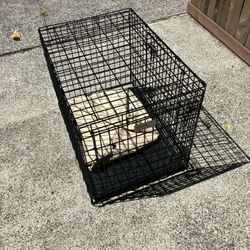 Dog Crate Medium 