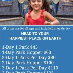 Disneyland Tickets Single Day/1 Park  As Low As $43/Per Person Any Day*