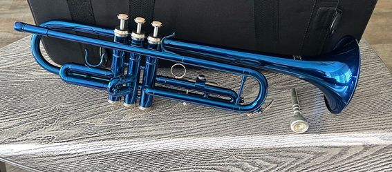 Trumpet with carry case in excellent condition, complete with mouthpiece.  $80