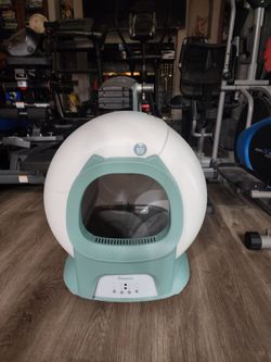 Cat cleaning automatic