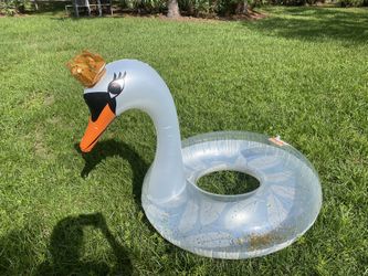 Large Swan Float