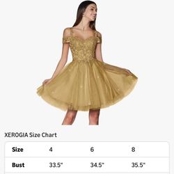 Gold Prom Or. XV Dama Dress