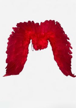 Red feather angel wings