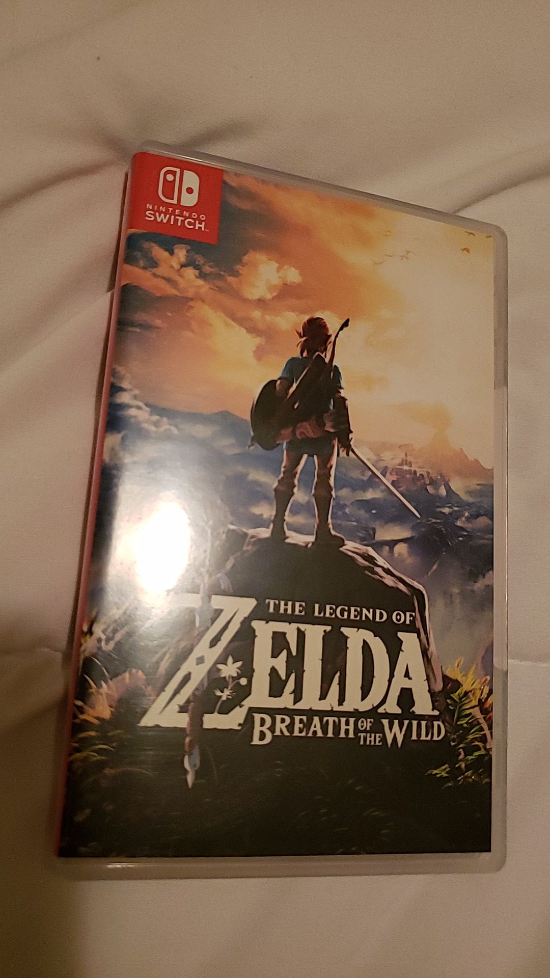 Zelda Breath of the wild