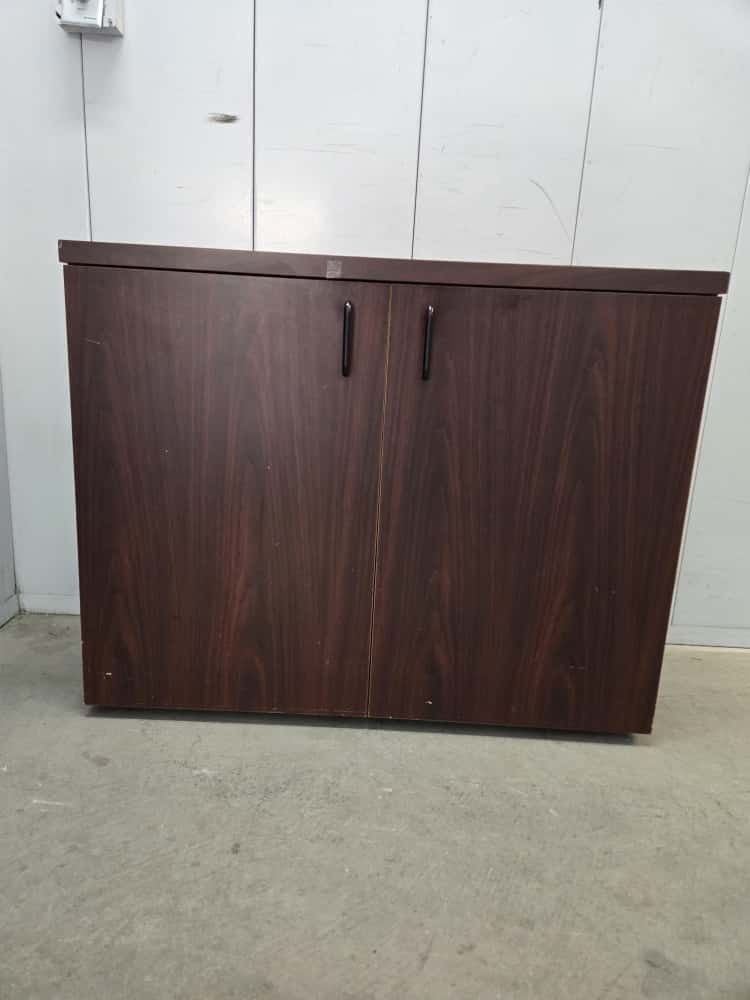 Solid Wood Storage Cabinet With 1 Adjustable Shelve