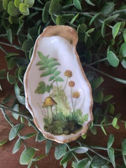 Decorative Oyster Shell Trinket Dish