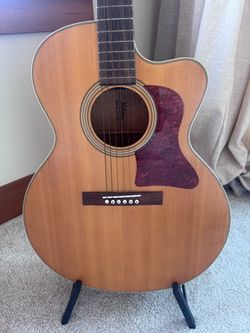 Horner Gruhn Acoustic guitar