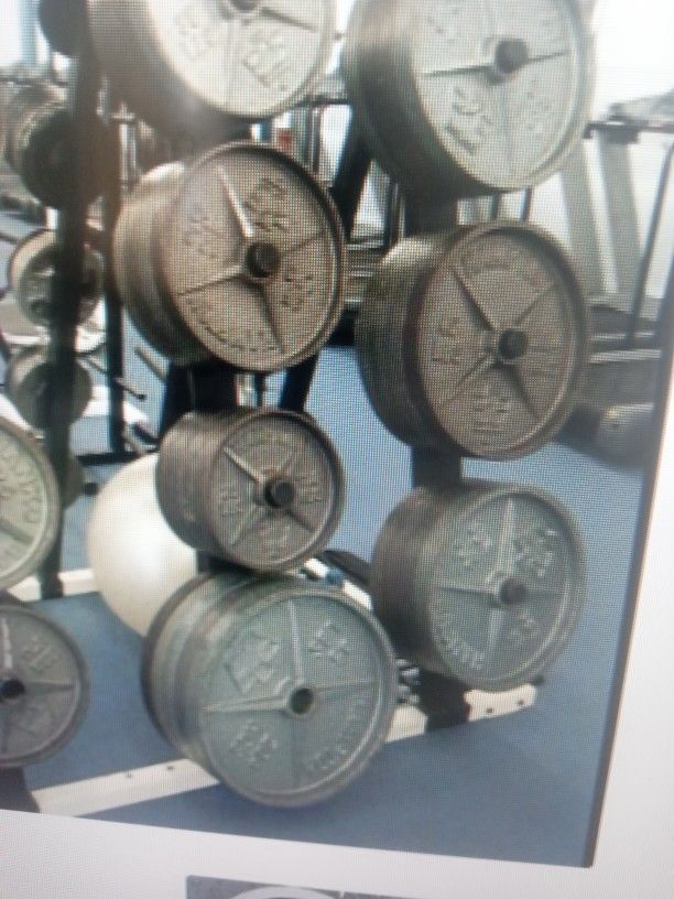 Olympic Plates And Barbell And More
