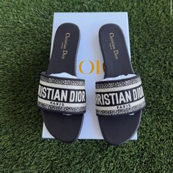 DIOR REVOLUTION SLIDES 
