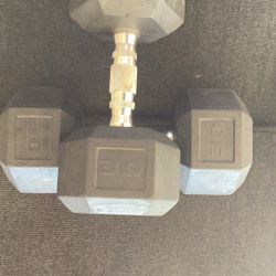 Dumbbell 30 Pound