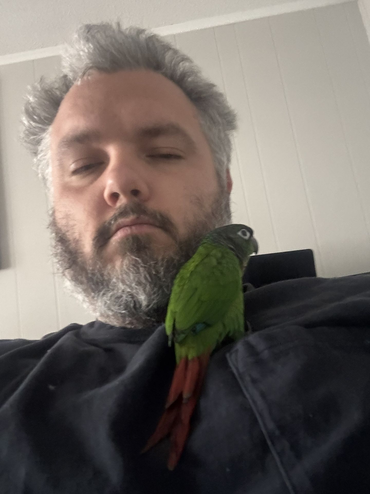 Conure 