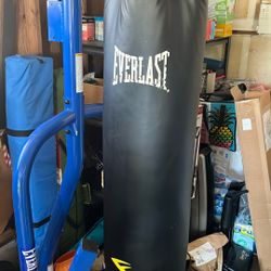 Everlast- Punching Bag