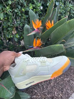 Retro 4 Birds of paradise