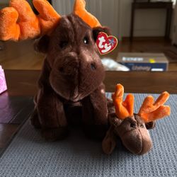 Ty CHOCOLATE The Moose Buddie And Baby Retired NWT
