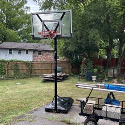Basket Ball Hoop