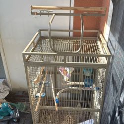 Bird Cage