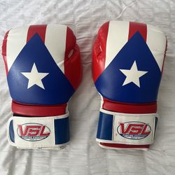 14oz Puerto Rican Boxing Gloves 