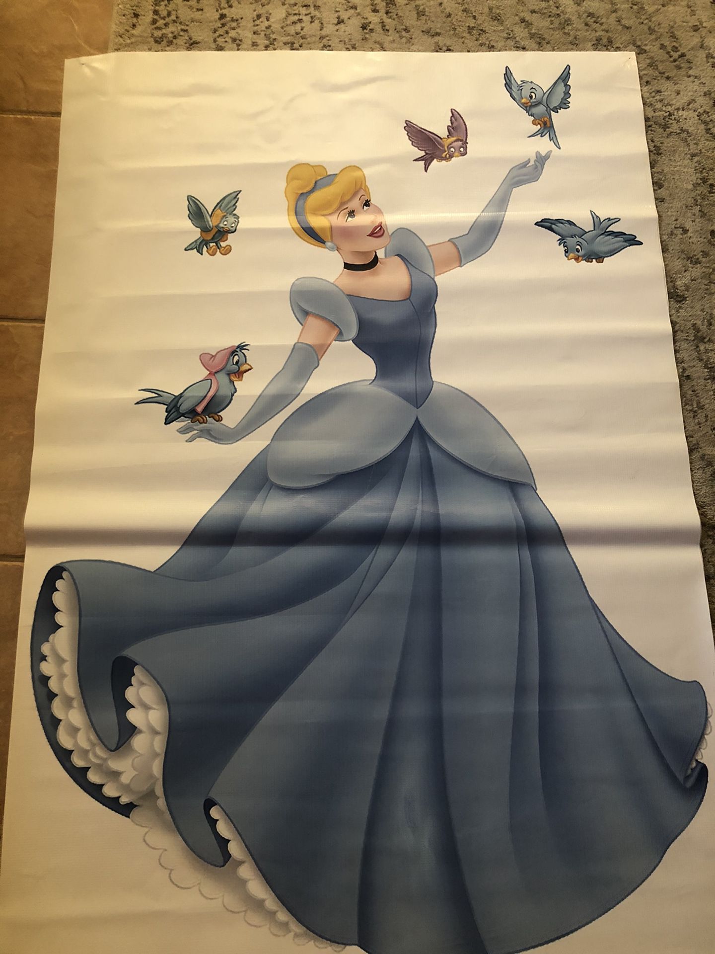 Giant vinyl Cinderella birthday poster